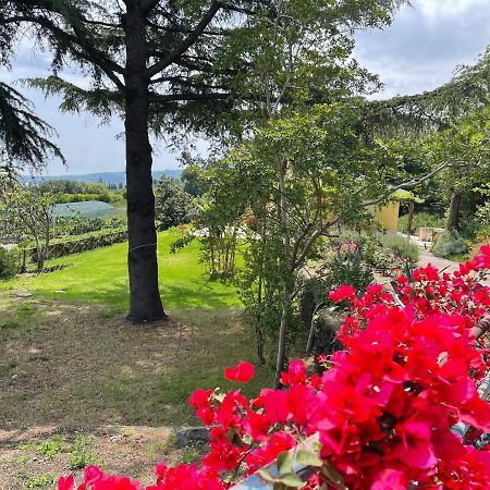 Villa Palm Hill Piedimonte Etneo Eksteriør billede