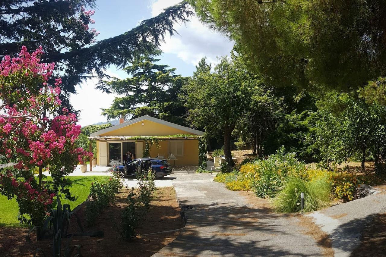 Villa Palm Hill Piedimonte Etneo Eksteriør billede